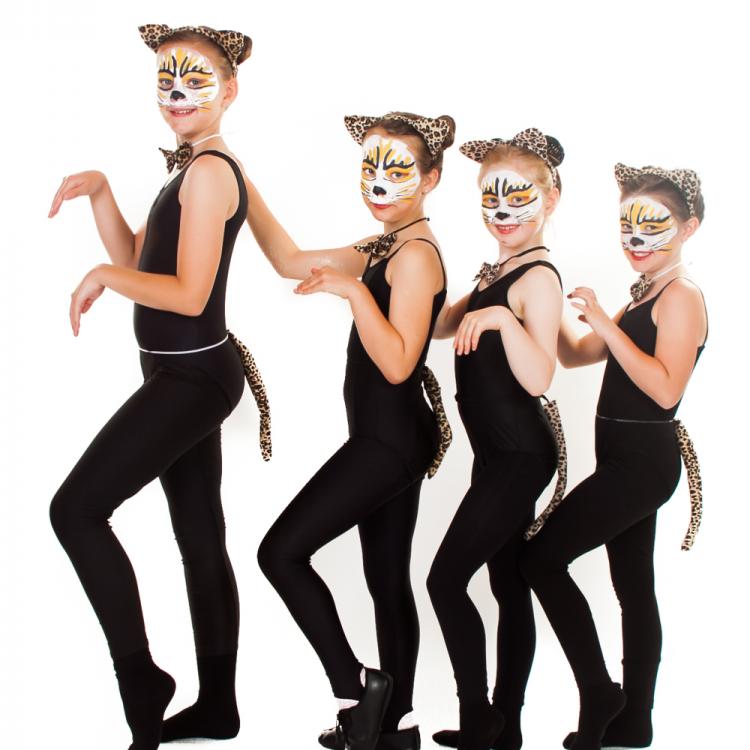 Cats in Showtime